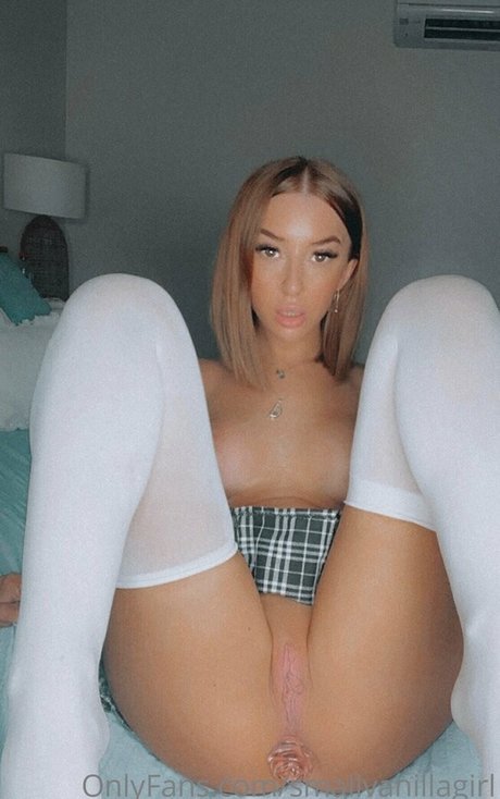 THE SMALL VANILLA GIRLL