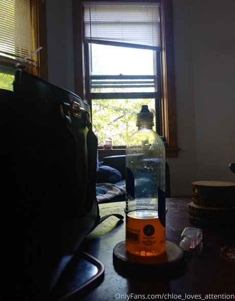 Chloe_loves_attention