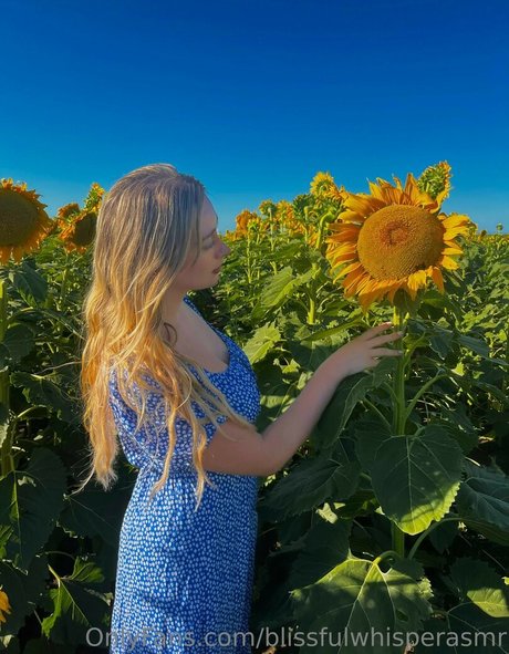 Blissful Whisper ASMR