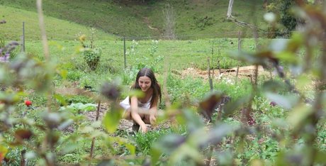 Mother The Mountain Farm