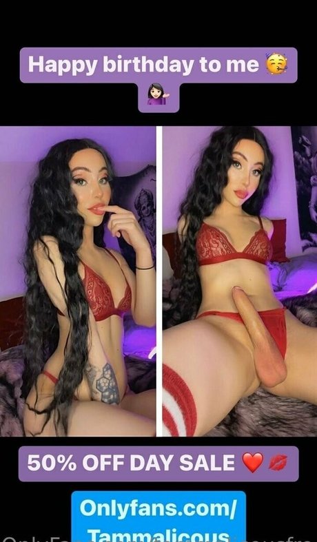 Tammydreamworxfree