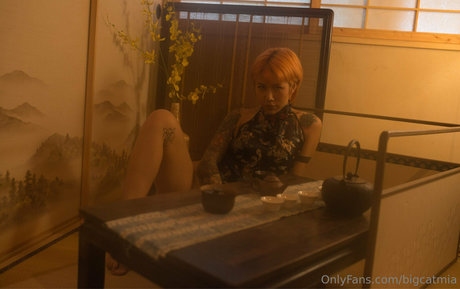 Nacktes geleaktes OnlyFans-Foto von Bigcatmia