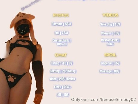 Nacktes geleaktes OnlyFans-Foto von Freeusefemboy02
