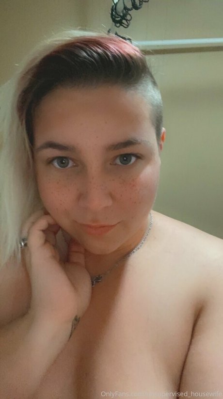 Unsupervised_housewife