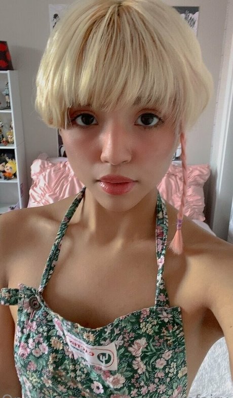 Imedenthefairy