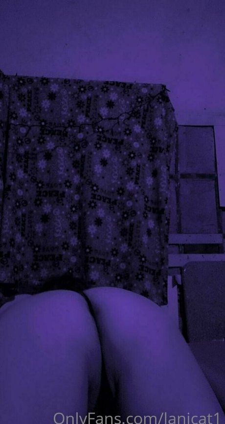 Lanicat1