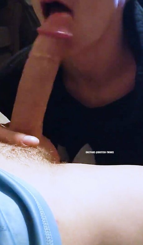 Britishtwinks