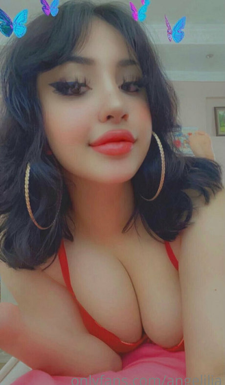 Angelilia