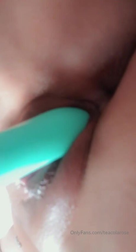 English teacola rose