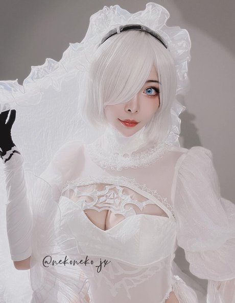 Nekoneko Jx