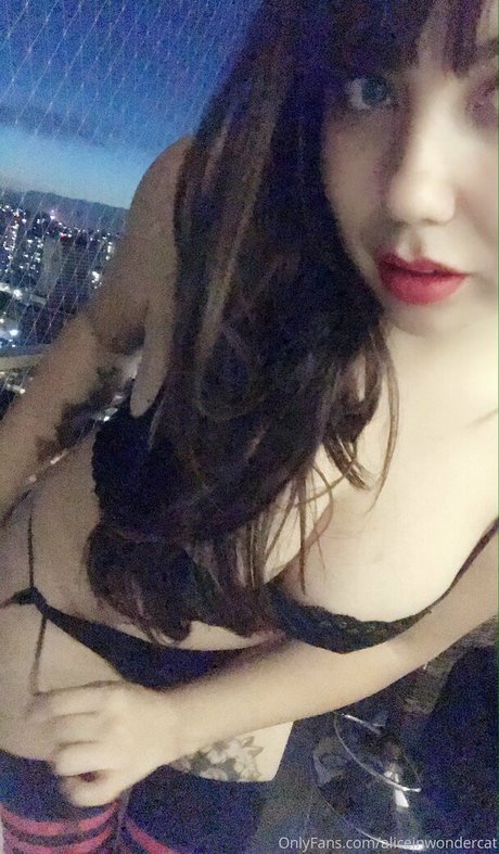 Aliceinwondercat