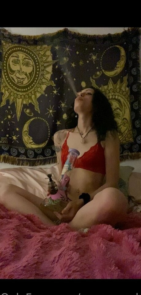 Blossomingvixen