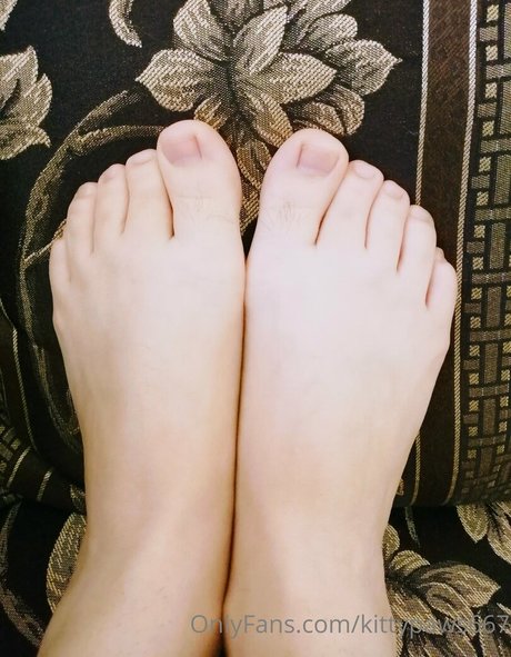 Kittypaws667