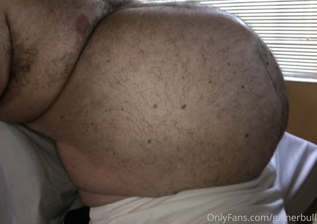 Gainerbull